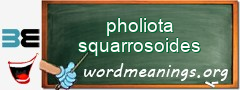 WordMeaning blackboard for pholiota squarrosoides